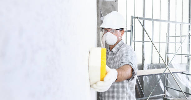 Why You Should Choose Our Mold Remediation Services in Thonotosassa, FL