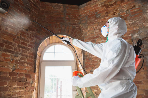 Mold Remediation for Rental Properties in Thonotosassa, FL